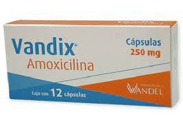 AMOXICILINA 250 MG 12 CAPS LGEN