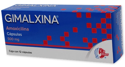 AMOXICILINA 500 MG 12 CAPS LGEN