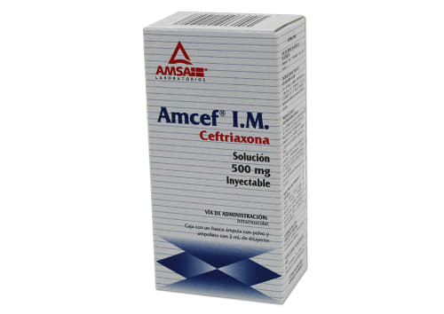 AMCEF IM CEFT500MG SI FA2ML LGEN