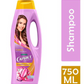 SH CAPRICE ACT CERAMI 2EN1 750ML