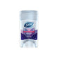 DESOD SECRET POWDER STICK GEL 45G