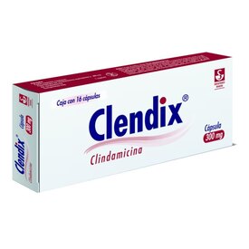 CLENDIX 300MG 16 CAPS